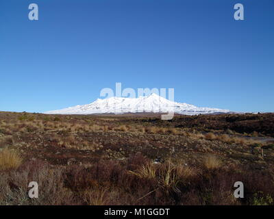 Parc National de Tongariro est sur l'île du nord de la Nouvelle-Zélande. Le parc dispose de 3 volcans actifs : Tongariro, Ngauruhoe et Ruapehu. Banque D'Images