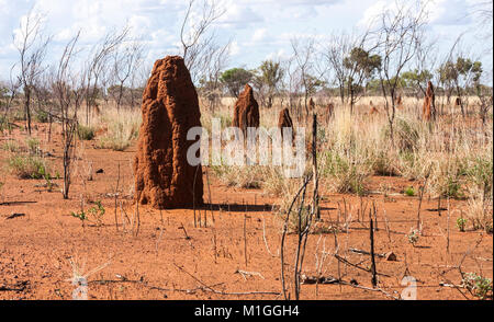 Tall les fourmilières en Australie dans le Territoire du Nord Banque D'Images