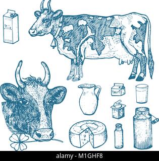 Ensemble d'alimentation lait, produits laitiers, le yogourt et le fromage, la crème glacée, bouteille, jug, beurre et lait fouetté. vache, pouvez, pays ou ferme rustique, alimentation saine. gravés à la main dans de vieux croquis. Illustration de Vecteur