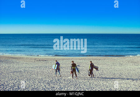 Boardriders à pied le long de la côte de sable de la plage de Bondi à Sydney, Australie, pour attraper quelques vagues tôt le matin. Banque D'Images