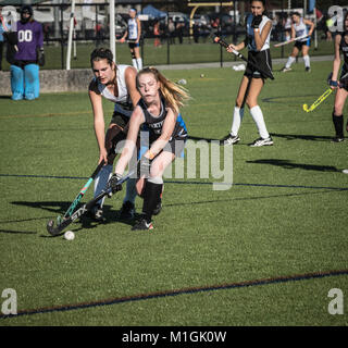 High School girls hockey de champ Banque D'Images