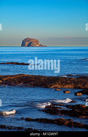 La plage de North Berwick sur un après-midi d'hiver avec Bass Rock en arrière-plan, East Lothian, Scotland, UK Banque D'Images