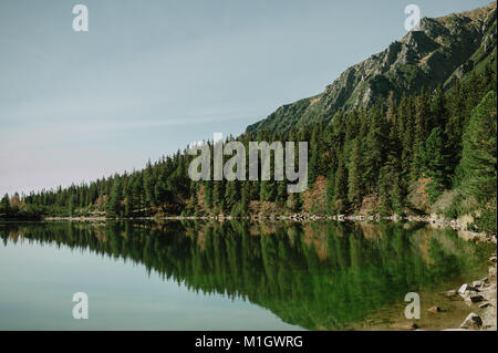 Vue d'un lac avec des forêts de conifères de réflexion dans le lac. Banque D'Images