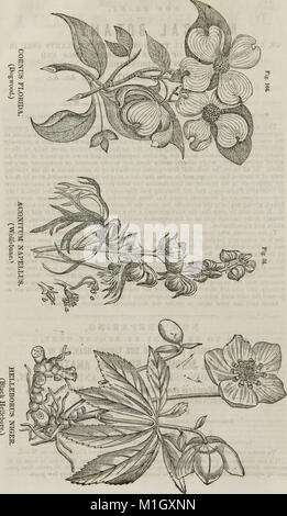 Un système de l'anatomie humaine, général et spécial (1847) (14799346003) Banque D'Images