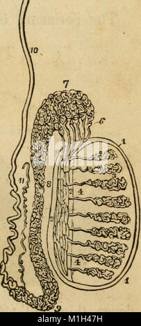 Un recueil analytique des différentes branches de la science médicale, pour l'utilisation et l'examen des étudiants (1848) (17547871544) Banque D'Images