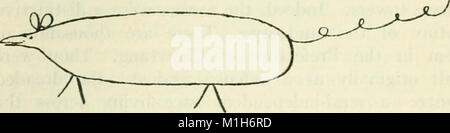 Une Yankee sur le Yangtsé - être un récit d'un voyage de Shanghai à travers le royaume central de la Birmanie (1904) (14598379928) Banque D'Images