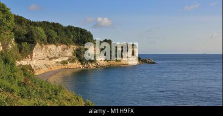 Stevns Klint. Falaise de calcaire à la côte est du Danemark. Banque D'Images