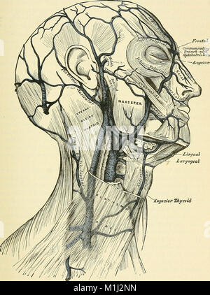 L'anatomie, de chirurgie et descriptif (1887) (14762670651) Banque D'Images