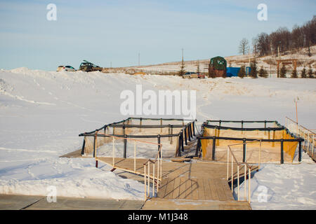 La truite d'élevage industriel Vue de dessus d'hiver poisson Banque D'Images