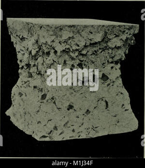 Une deuxième édition d'un traité sur la construction en béton, axé sur les matériaux en béton brut et armé, leur conception et leurs applications dans la construction. Il offre des informations détaillées sur les techniques de construction et l'ingénierie structurelle. Banque D'Images