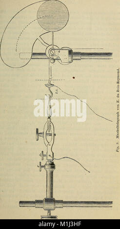 L'ouvrage de 1877 'Allgemeine physiologie der Muskeln und Nerven' de W. A. Hering couvre la physiologie des muscles et des nerfs, détaillant la structure et la fonction de ces systèmes dans le corps humain. Banque D'Images
