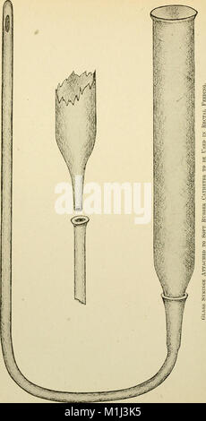 Un nouveau manuel de chirurgie, civils et militaires (1917) (14579964758) Banque D'Images