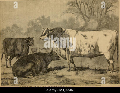 American Agriculturist, pour la ferme, jardin et ménage (1868) (14796286743)