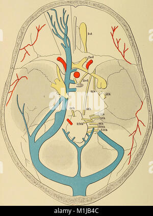 Ce texte médical de 1897 fournit un guide pratique pour comprendre les conditions médicales, diagnostiquer les maladies et administrer des traitements, servant de ressource à la fois aux praticiens et aux étudiants en médecine. Banque D'Images