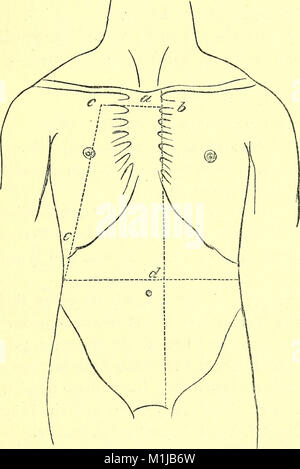 Un manuel de la dissection du corps humain (ressource électronique) - à l'usage des étudiants et plus particulièrement pour ceux qui se préparent pour l'examen supérieur en anatomie (1881) (14769394444) Banque D'Images