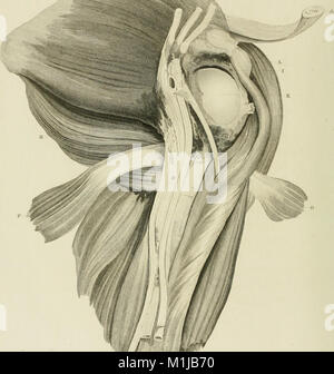 Un traité de luxations et fractures sur des articulations (1824) (14589699579) Banque D'Images