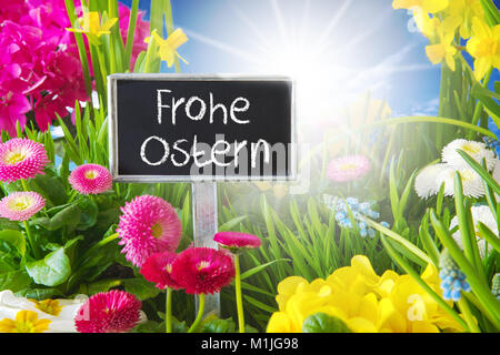 Sunny Spring Flower Meadow, Frohe Ostern signifie Joyeuses Pâques Banque D'Images