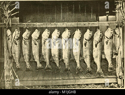 Poissons américains ; un traité sur le jeu populaire et de l'alimentation des poissons d'Amérique du Nord, avec une référence particulière à des habitudes et modes de capture (1888) (14771506245) Banque D'Images