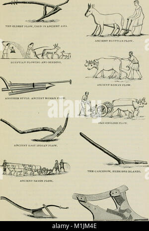 American agricultural implements ; un examen de l'invention et le développement de l'industrie des instruments aratoires de la United States (1894) (17487874724) Banque D'Images