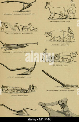 American agricultural implements ; un examen de l'invention et le développement de l'industrie des instruments aratoires de la United States (1894) (18107018192) Banque D'Images