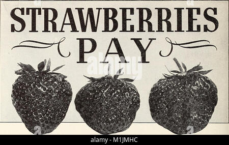 Allen's Book of Berries for 1939 est un guide complet sur diverses espèces de baies, fournissant des détails sur leur identification, leur culture et leurs utilisations, spécifiquement axé sur les baies en Amérique du Nord. Banque D'Images