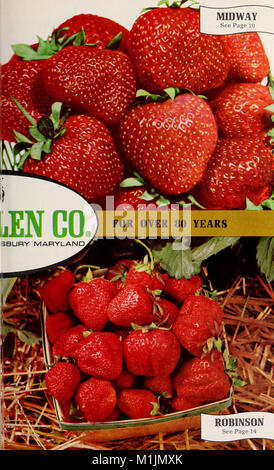 Le 83e Livre des baies d'Allen (1968) fournit un guide complet pour identifier, récolter et utiliser différentes espèces de baies. Le livre comprend des descriptions détaillées et des illustrations de divers types de baies. Banque D'Images