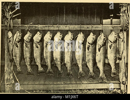 Poissons américains ; un traité sur le jeu populaire et de l'alimentation des poissons d'Amérique du Nord, avec une référence particulière à des habitudes et modes de capture (1888) (18117265862) Banque D'Images