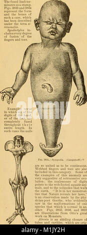 'A Reference Handbook of the Medical Sciences' (1885) fournit une couverture complète des connaissances médicales et scientifiques, y compris les applications pratiques et les sciences connexes. Banque D'Images
