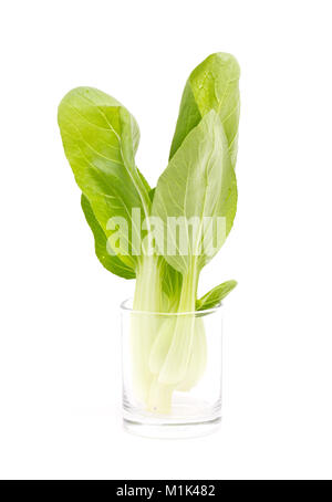 Bok choi vert frais isolé sur blanc. Banque D'Images