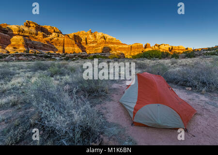 Sunset glow sur des formations de grès, vue du Camp SC3 dans Salt Creek Canyon dans les aiguilles District de Canyonlands National Park, Utah, USA Banque D'Images