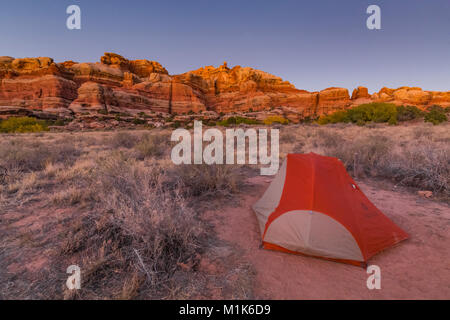 Sunset glow sur des formations de grès, vue du Camp SC3 dans Salt Creek Canyon dans les aiguilles District de Canyonlands National Park, Utah, USA Banque D'Images