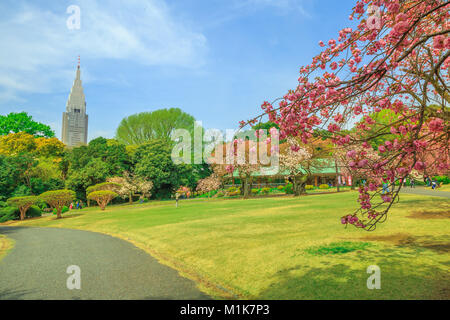 Jardin National de Shinjuku Gyoen Banque D'Images