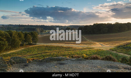 Bradgate Park sur une soirée ensoleillée, montrant le chemin quatre se regroupant sous un ciel magnifique dans le Leicestershire, Angleterre. Banque D'Images