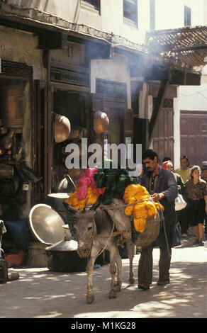 Le Maroc. La ville de Fès. Medina. Soukh. Marché. L'homme conduisant âne transportant de la laine teints. Médina de Fès. Unesco World Heritage Site. Banque D'Images
