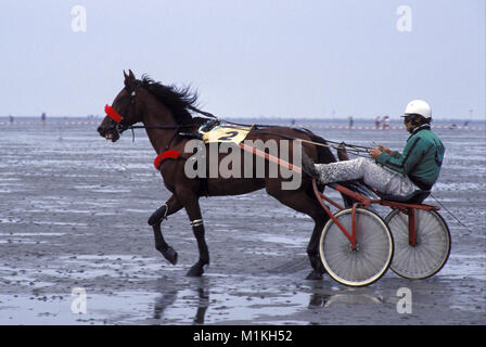 DEU, ALLEMAGNE, Basse-Saxe, la course de trot à l'amplitude des marées dans les eaux peu profondes près de Cuxhaven Duhnen. DEU, Deutschland, Niedersachsen, das Crea-trends Wattrennen b Banque D'Images