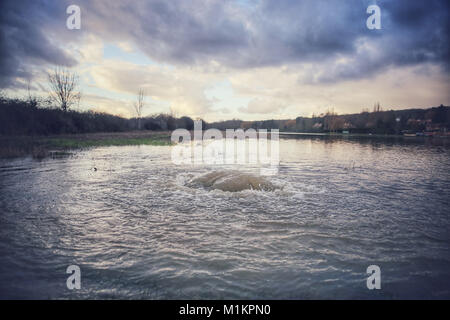 Sandrine Huet / Le Pictorium - La Seine inondation, Janvier 2018 - 26/01/2018 - France / Ile-de-France (région) / Soisy sur Seine - Village de Soisy sur Seine, Essonne. L'eau de la rivière est passé de 25 au 29 janvier 2018. De nombreuses maisons ont dû être évacués en raison de l'inondation.La Seine a atteint son plus haut point à la gare de Corbeil Essonne dans la nuit de dimanche 28 et lundi 29 janvier 2018, avec une crête de 4,56 m, un peu plus bas que la dernière inondation en juin 2016 Banque D'Images