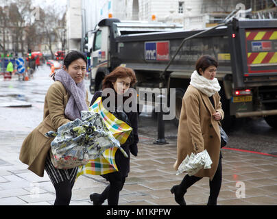 Londres, Royaume-Uni. Jan 31, 2018. Météo britannique. Trois dames asiatiques avec parasols essayez d'éviter le vent et les précipitations de pluie en Victoria London Crédit : Keith Larby/Alamy Live News Banque D'Images