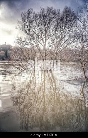 Sandrine Huet / Le Pictorium - La Seine inondation, Janvier 2018 - 26/01/2018 - France / Ile-de-France (région) / Soisy sur Seine - Village de Soisy sur Seine, Essonne. L'eau de la rivière est passé de 25 au 29 janvier 2018. De nombreuses maisons ont dû être évacués en raison de l'inondation.La Seine a atteint son plus haut point à la gare de Corbeil Essonne dans la nuit de dimanche 28 et lundi 29 janvier 2018, avec une crête de 4,56 m, un peu plus bas que la dernière inondation en juin 2016 Banque D'Images