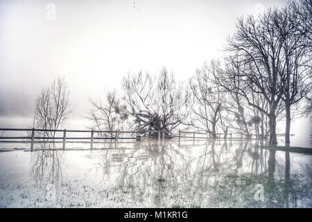 Sandrine Huet / Le Pictorium - La Seine inondation, Janvier 2018 - 27/01/2018 - France / Ile-de-France (région) / Soisy sur Seine - Village de Soisy sur Seine, Essonne. L'eau de la rivière est passé de 25 au 29 janvier 2018. De nombreuses maisons ont dû être évacués en raison de l'inondation.La Seine a atteint son plus haut point à la gare de Corbeil Essonne dans la nuit de dimanche 28 et lundi 29 janvier 2018, avec une crête de 4,56 m, un peu plus bas que la dernière inondation en juin 2016 Banque D'Images