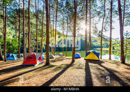 Les tentes de camping sous les pins avec lumière du soleil à Pang Ung lake, Mae Hong Son en Thaïlande. Banque D'Images