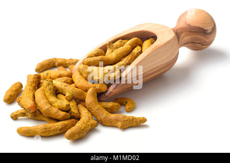 Le curcuma séchée racine dans le bois d'écope, isolated on white Banque D'Images