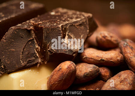 Les fèves de cacao et poudre, morceaux de chocolat blanc et noir Banque D'Images