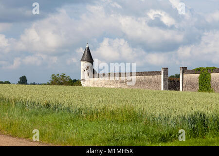 Chartreuse du Liget - Cartusian monastère fondé par le roi Henri II Plantagenêt Vallée de la Loire, France Banque D'Images