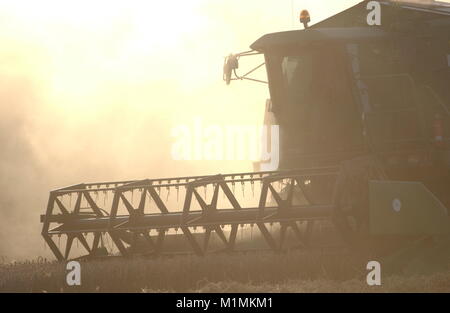 AJAXNETPHOTO. SOUTHAMPTON, Angleterre. - Nuage de poussière - MOISSONNEUSE-BATTEUSE, battage du blé. photo:JONATHAN EASTLAND/AJAX REF:D60508 0148 Banque D'Images