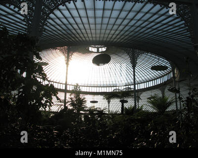 À l'intérieur de Glasgow Botanic Gardens Banque D'Images