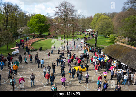 À partir de la plate-forme à l'éolienne dans les jardins de Keukenhof à Lisse, dans le sud de la Hollande. Le nom, l'ÔKeukenhofÕ signifiant 'jardin'', créez Banque D'Images