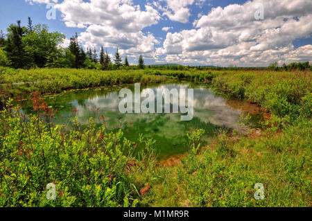 Sentier en boucle le long de l'étang Freeland National Wildlife Refuge Canaan Valley West Virginia Banque D'Images