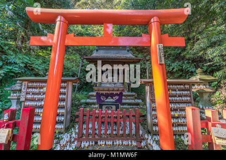 Kamakura, JAPON - 16 novembre 2017 : Sasuke Inari jinja sanctuaire supérieur. Les petites statues d'Inari, Torii et Kamakura sentier forestier dans le dos. Situé à Banque D'Images