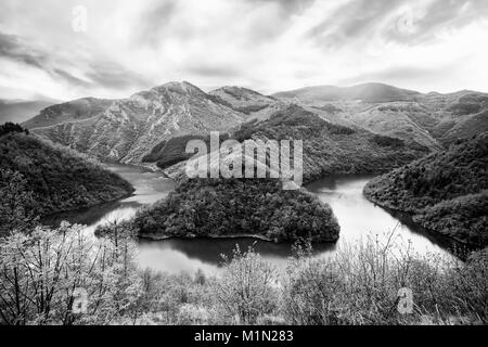 Haut contraste noir et blanc nature fond en montagnes bulgares Banque D'Images