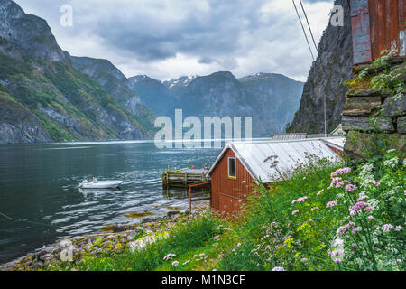 Vue idyllique de l'Aurlandsfjorden à Undredal, Norvège, Scandinavie, fjord paysage, municipalité d'Aurland, le Sognefjorden, comté de Sogn og Fjordane Banque D'Images